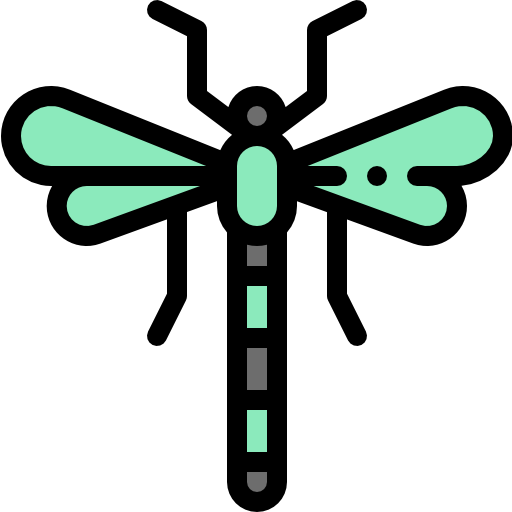 Dragon fly